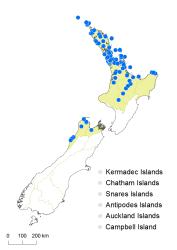 Schizaea bifida distribution map based on databased records at AK, CHR and WELT.
 Image: K. Boardman © Landcare Research 2014 